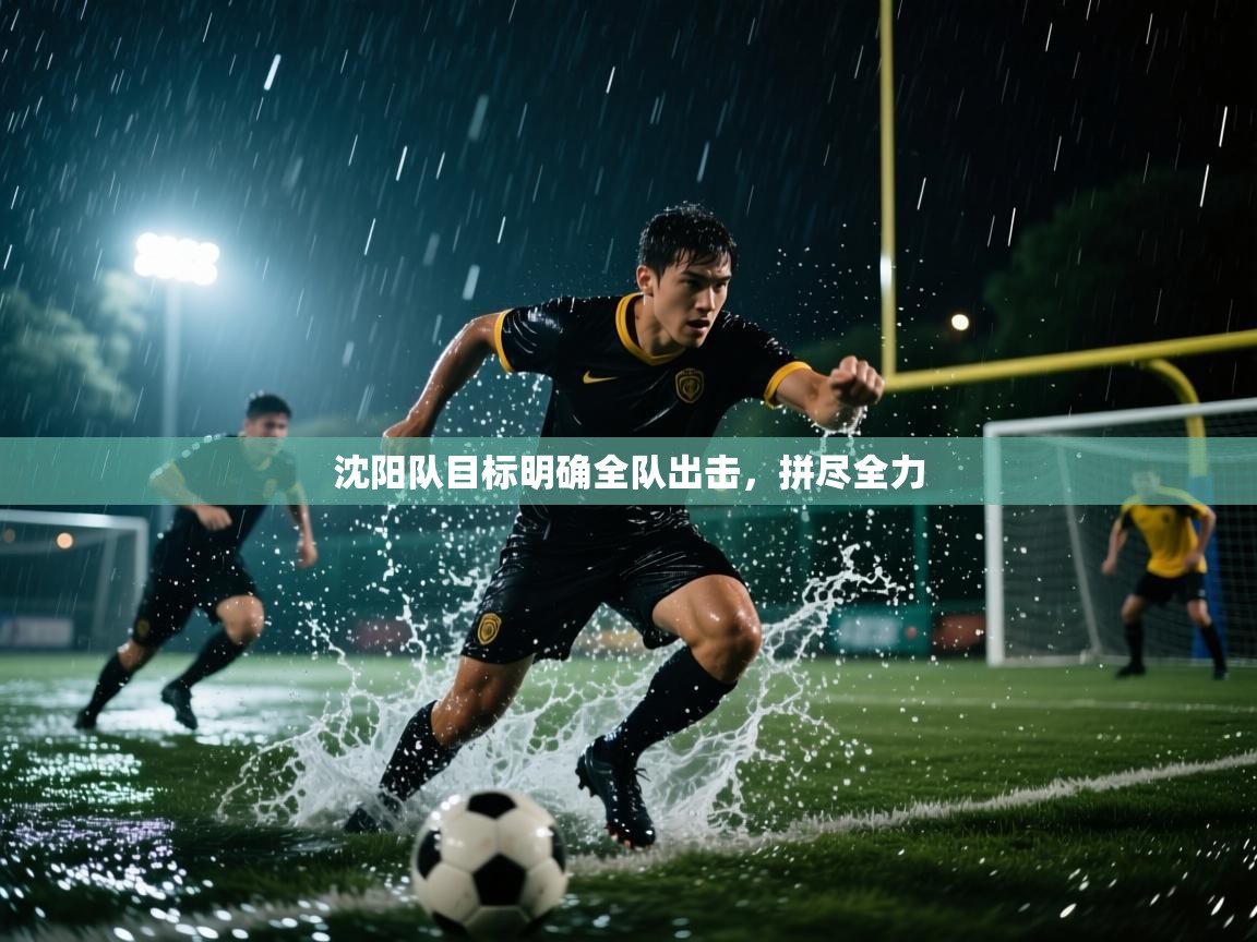 开云体育VIP权益说明-沈阳队目标明确全队出击，拼尽全力  第3张