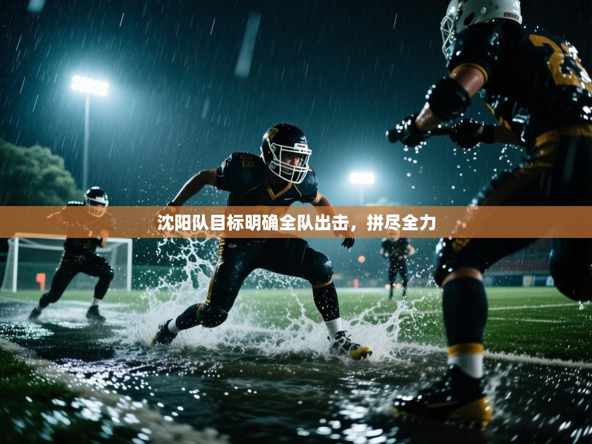 开云体育VIP权益说明-沈阳队目标明确全队出击，拼尽全力  第4张