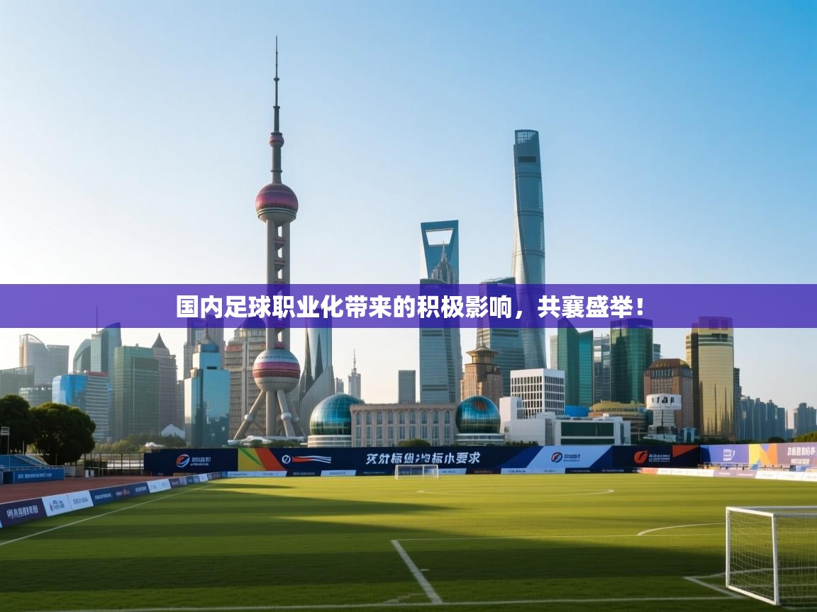 开云体育app官网-国内足球职业化带来的积极影响，共襄盛举！  第1张