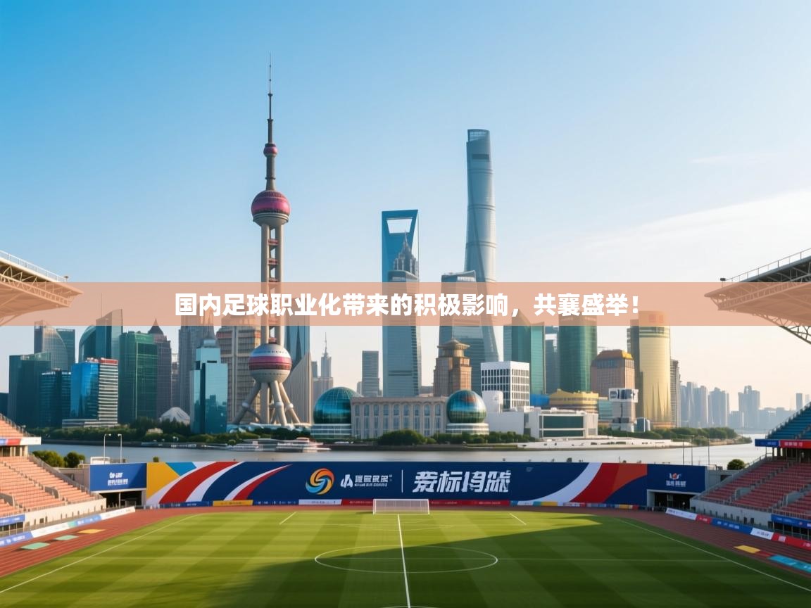 开云体育app官网-国内足球职业化带来的积极影响，共襄盛举！  第2张