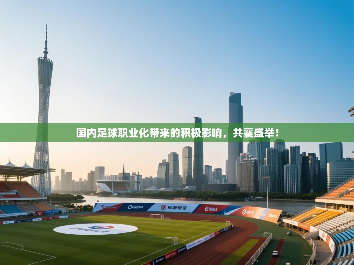 开云体育app官网-国内足球职业化带来的积极影响，共襄盛举！  第3张