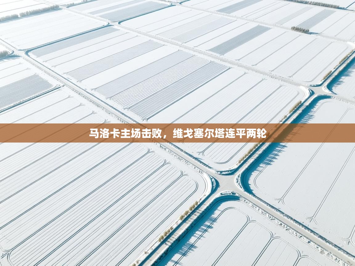 云开体育官方app下载-马洛卡主场击败,维戈塞尔塔连平两轮 第2张