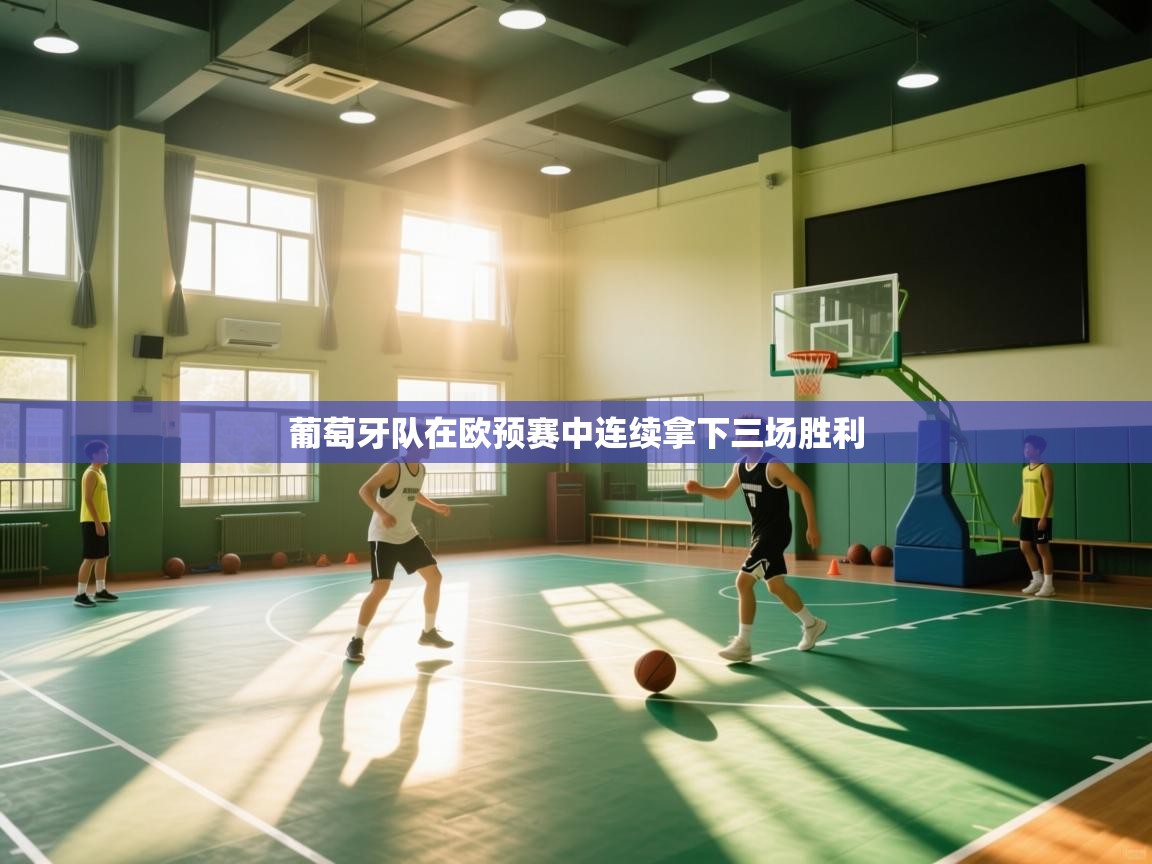 -葡萄牙队在欧预赛中连续拿下三场胜利 第4张